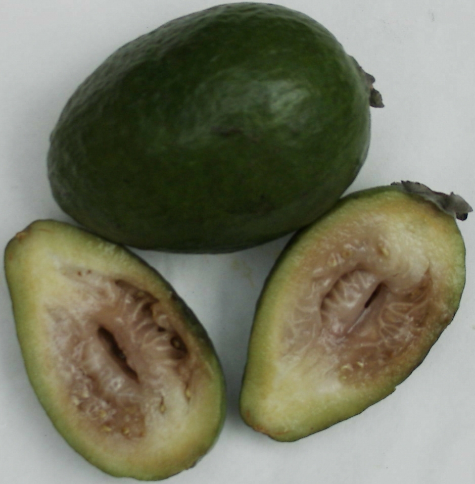 Feijoa целиком и в разрезе