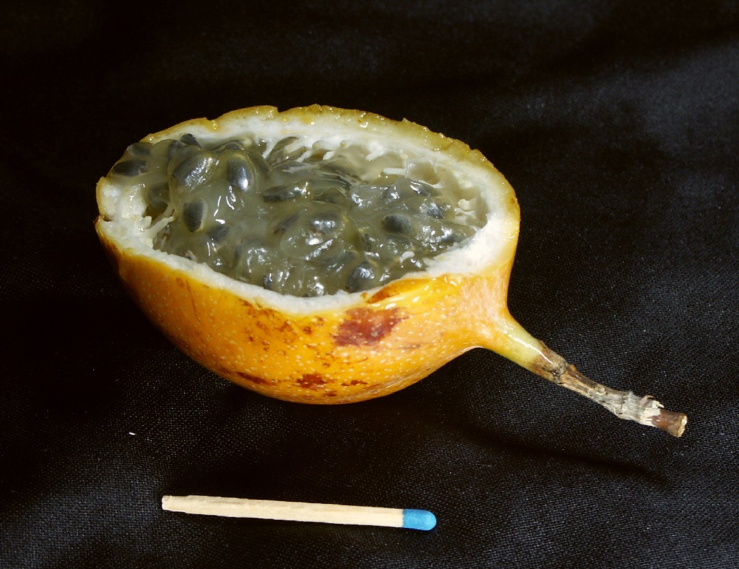 Разрезанная granadilla с семенами на тёмном фоне