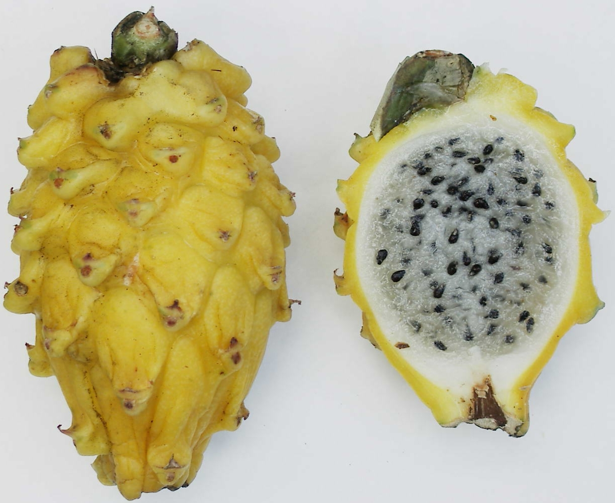 Жёлтая pitaya целиком и в разрезе с белой мякотью